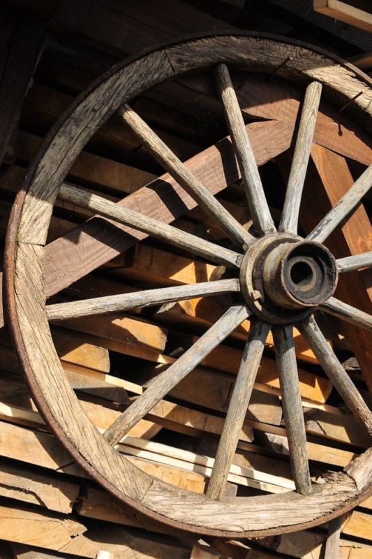 wooden wheel with spokes against a wood stack of timber