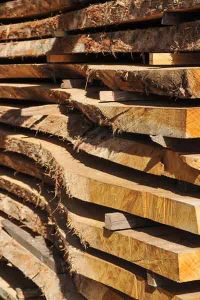 stacks of cut wood from a tree