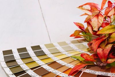 colour chart for wood satins on a table , there is a plant next to it